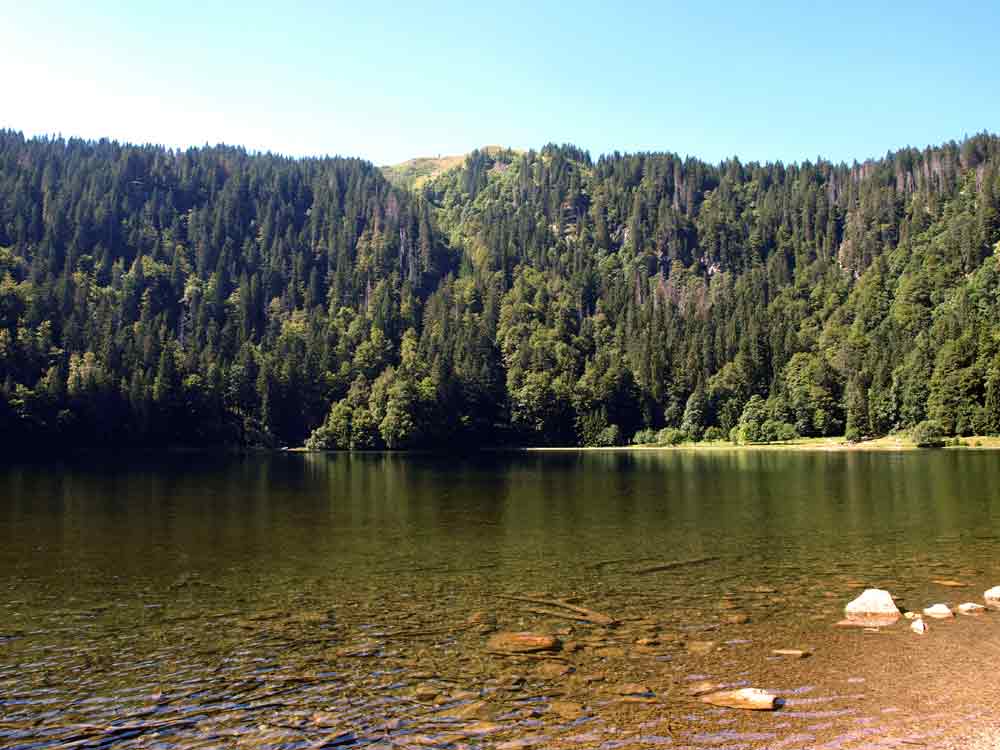 Lago Feldsee