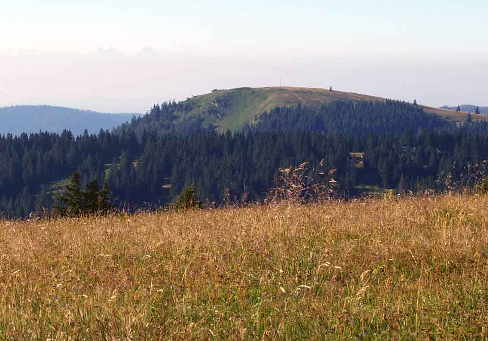 Monte Herzogenhorn