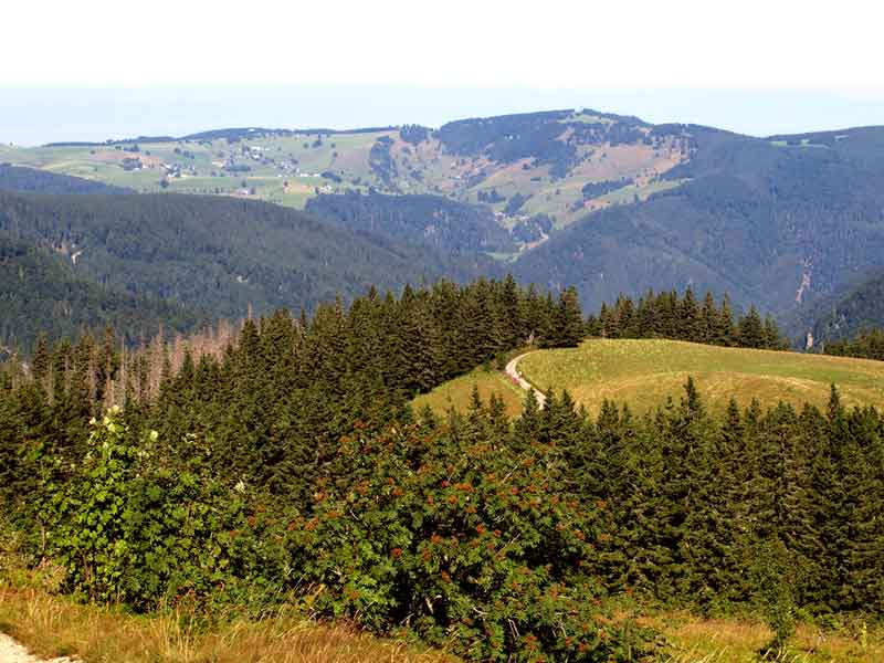 Schauinsland