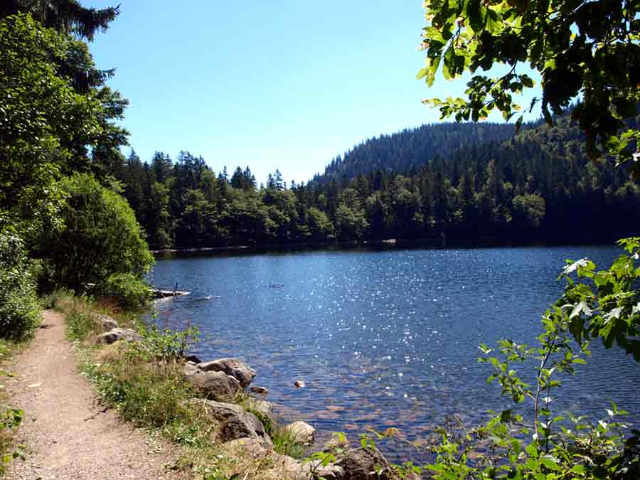 Feldberg Feldsee