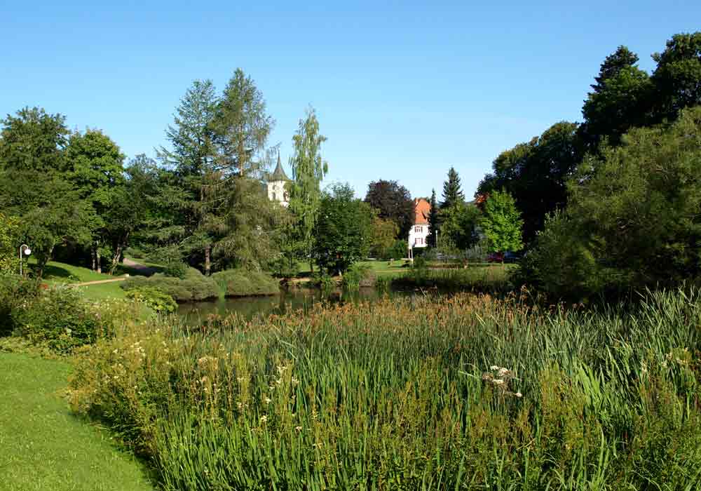 Spa park of Lenzkirch