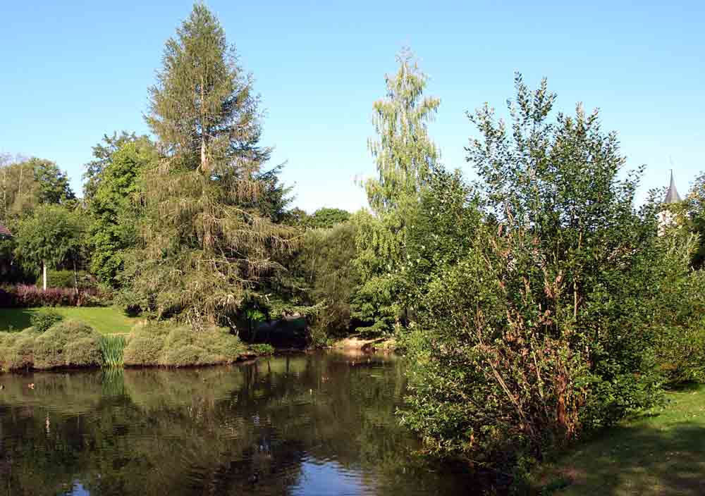 Spa park lake of Lenzkirch