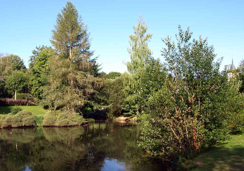 Kurparkweiher Lenzkirch