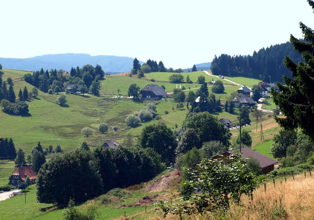 Lenzkirch Raitenbuch