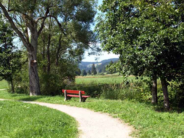 Dans la vallée Urseetal