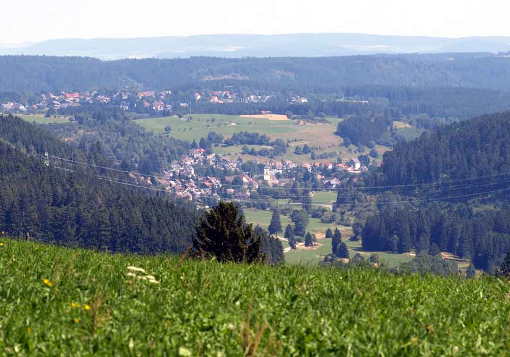 Vista dal Raitenbuch a Lenzkirch