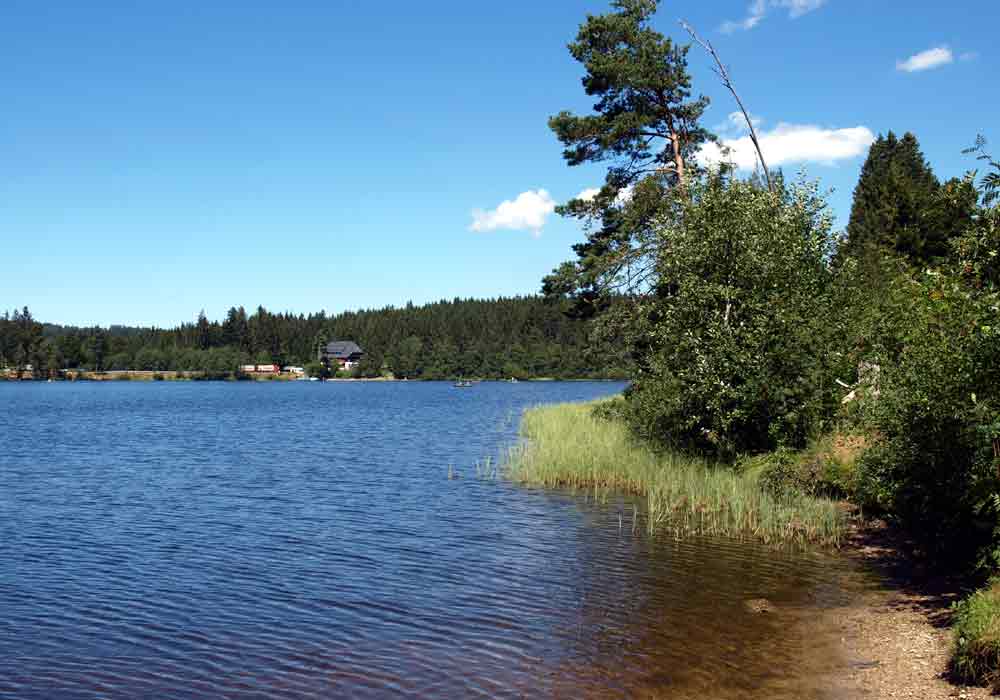 L'étang Windgfällweiher