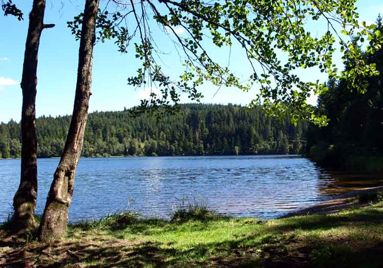 Lago Windgfällweiher