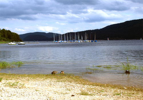 Lac Schluchsee