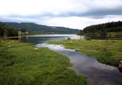 Lac Schluchsee