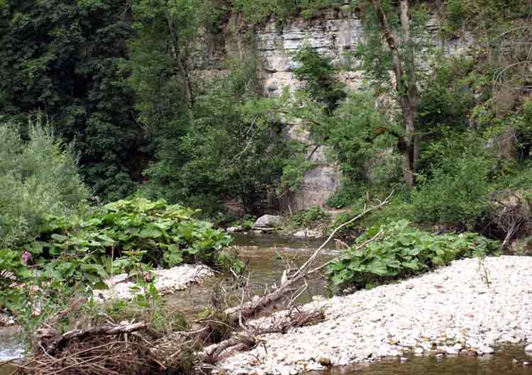 Wutach Gorge