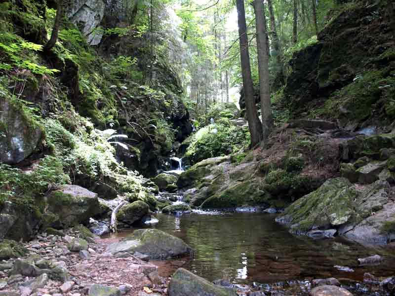 Lotenbachklamm