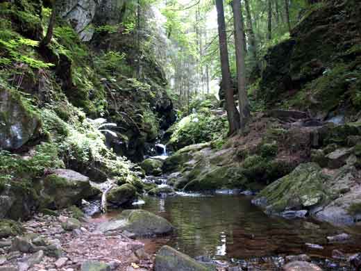 Lotenbachklamm