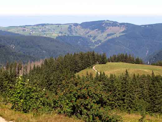 Blick zum Schauinsland