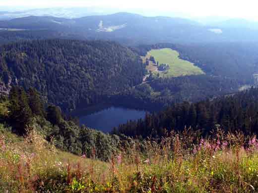 Blick zum Feldsee=