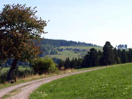 Blick auf Kappel