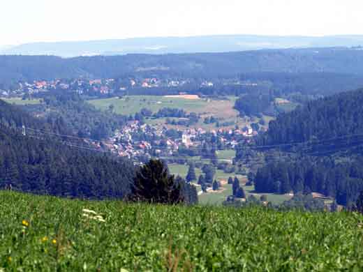 Blick nach Lenzkirch