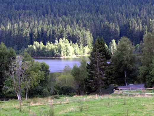 Kaiserbucht am Schluchsee