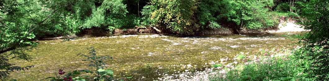 In der Wutachschlucht