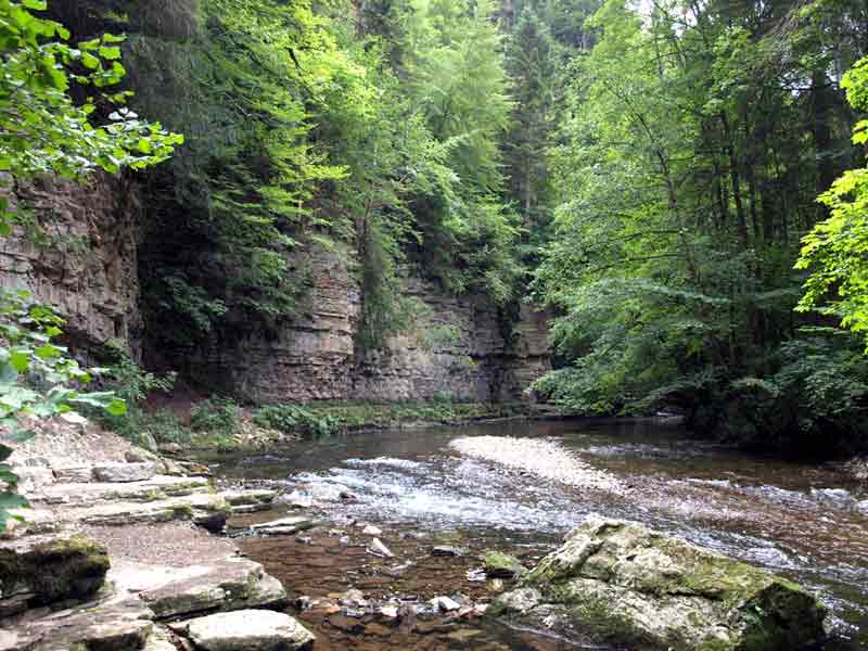 Wutach Gorge